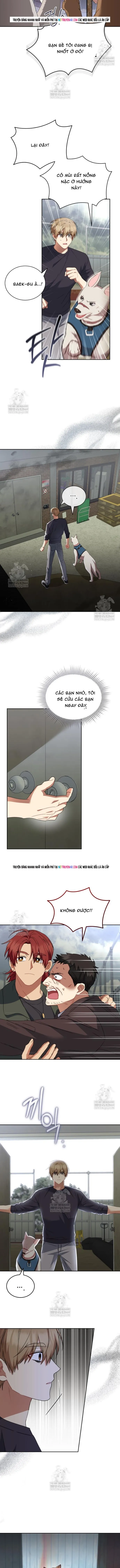 Xin Chào! Bác Sĩ Thú Y Chapter 117 - 10