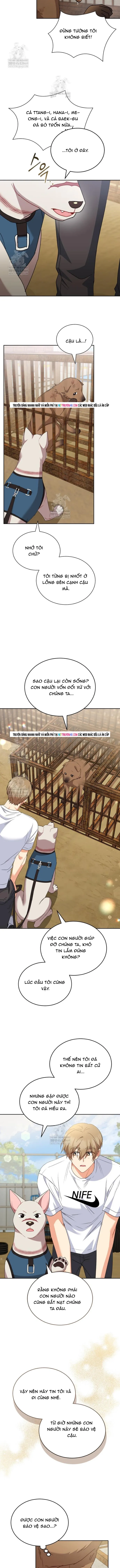 Xin Chào! Bác Sĩ Thú Y Chapter 118 - 9