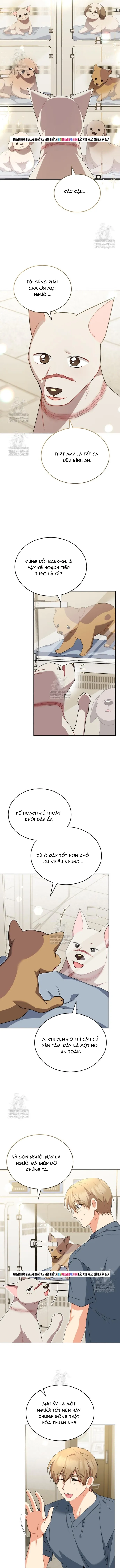 Xin Chào! Bác Sĩ Thú Y Chapter 119 - 6