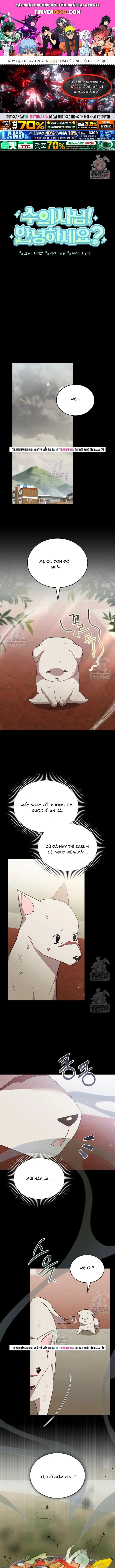 Xin Chào! Bác Sĩ Thú Y Chapter 120 - 1