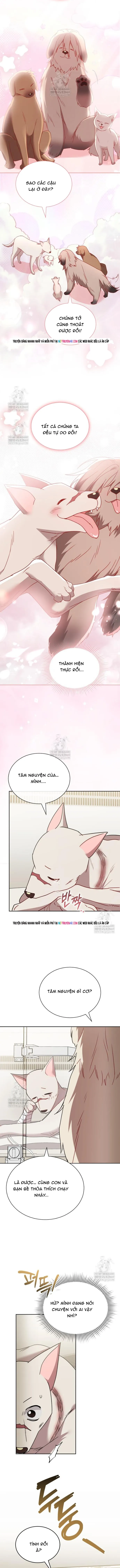 Xin Chào! Bác Sĩ Thú Y Chapter 120 - 11