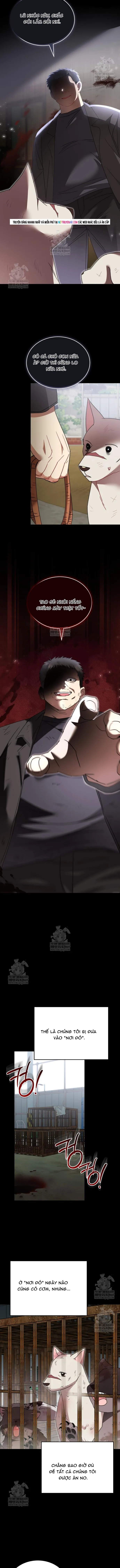 Xin Chào! Bác Sĩ Thú Y Chapter 120 - 3