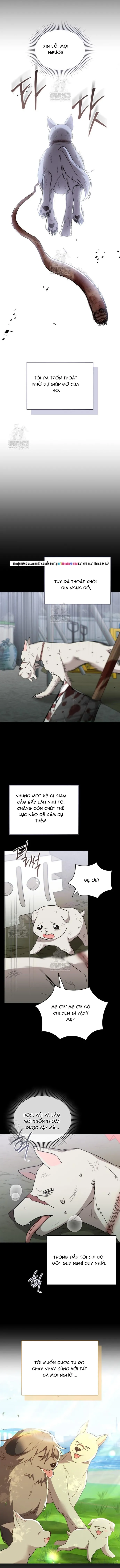 Xin Chào! Bác Sĩ Thú Y Chapter 120 - 9