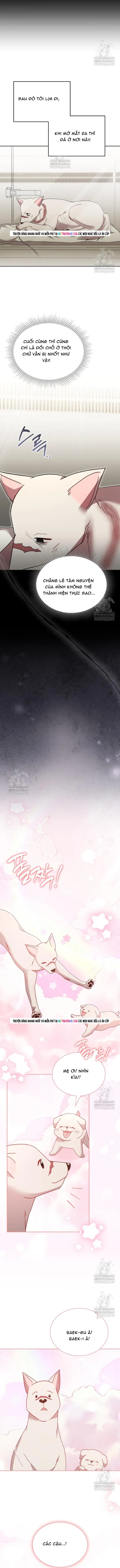 Xin Chào! Bác Sĩ Thú Y Chapter 120 - 10