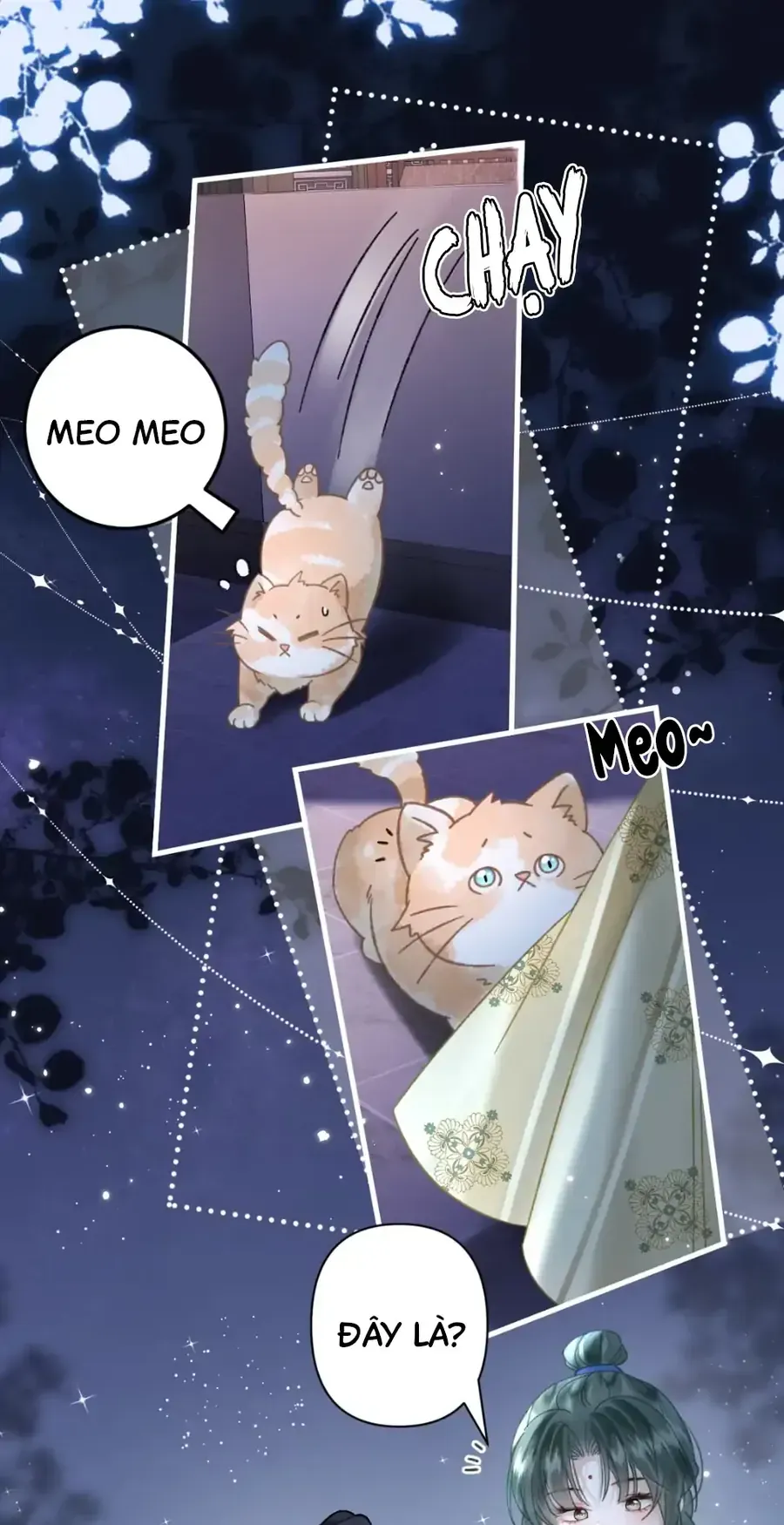 Đến Đông Hải Tìm Mỹ Nhân Chapter 52 - 12