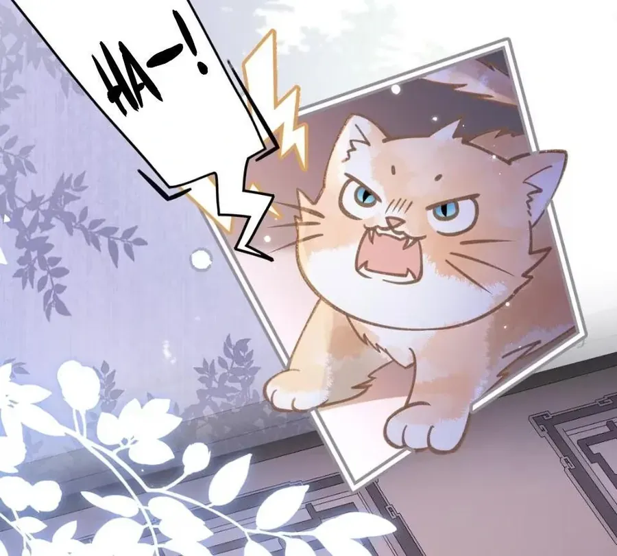 Đến Đông Hải Tìm Mỹ Nhân Chapter 52 - 20