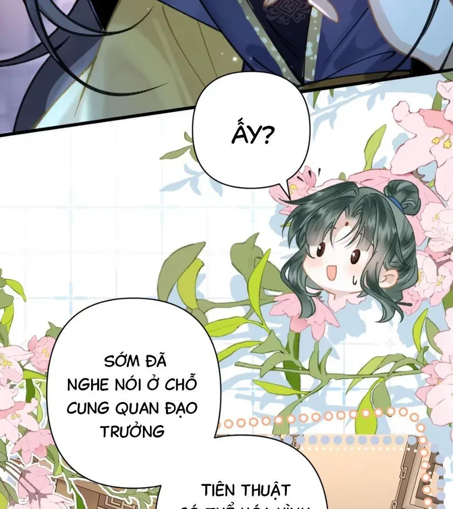 Đến Đông Hải Tìm Mỹ Nhân Chapter 52 - 29