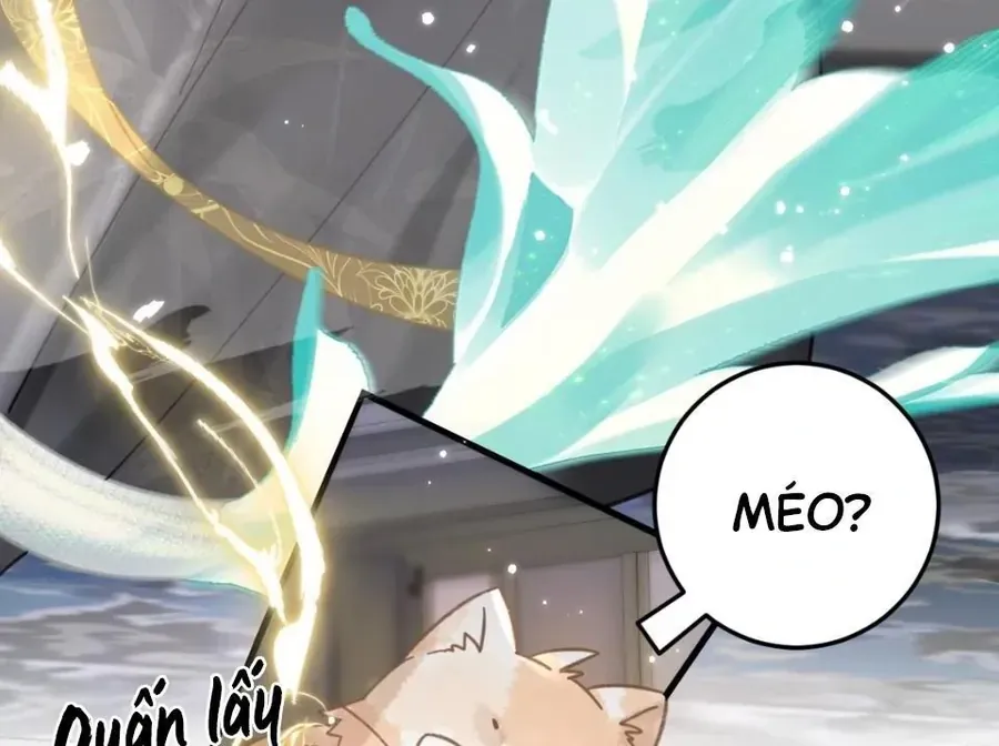 Đến Đông Hải Tìm Mỹ Nhân Chapter 52 - 6