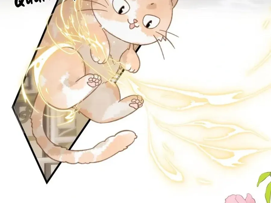 Đến Đông Hải Tìm Mỹ Nhân Chapter 52 - 7