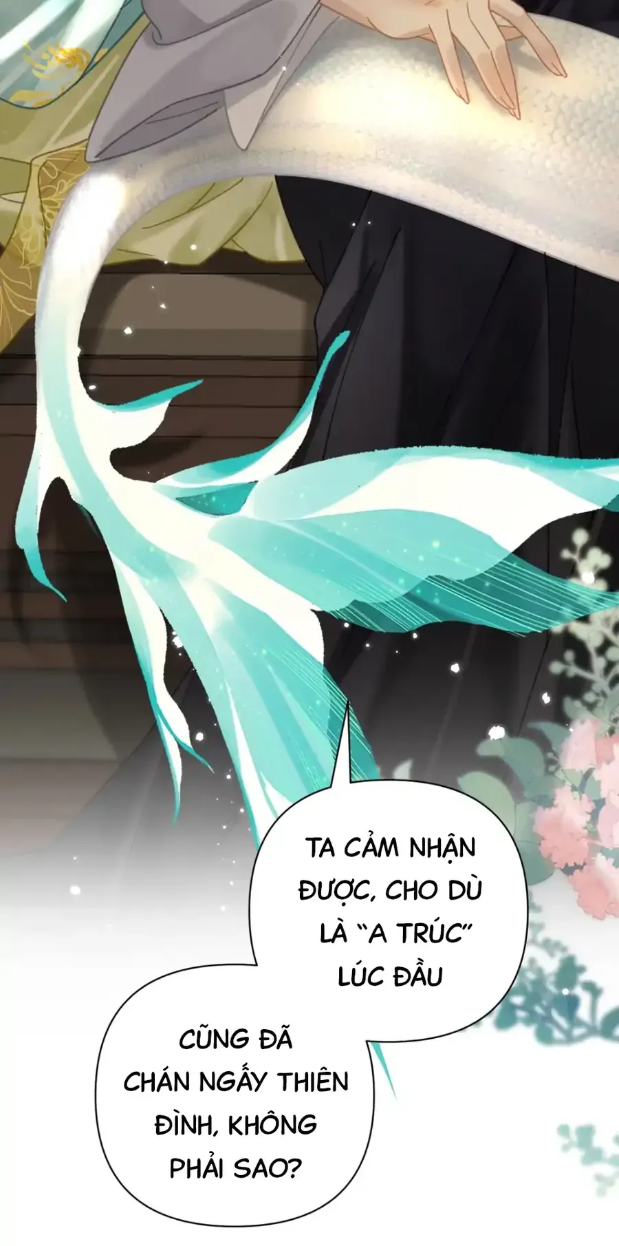 Đến Đông Hải Tìm Mỹ Nhân Chapter 52 - 64