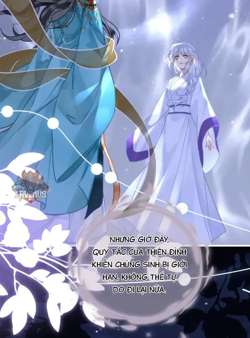 Đến Đông Hải Tìm Mỹ Nhân Chapter 66 - 43