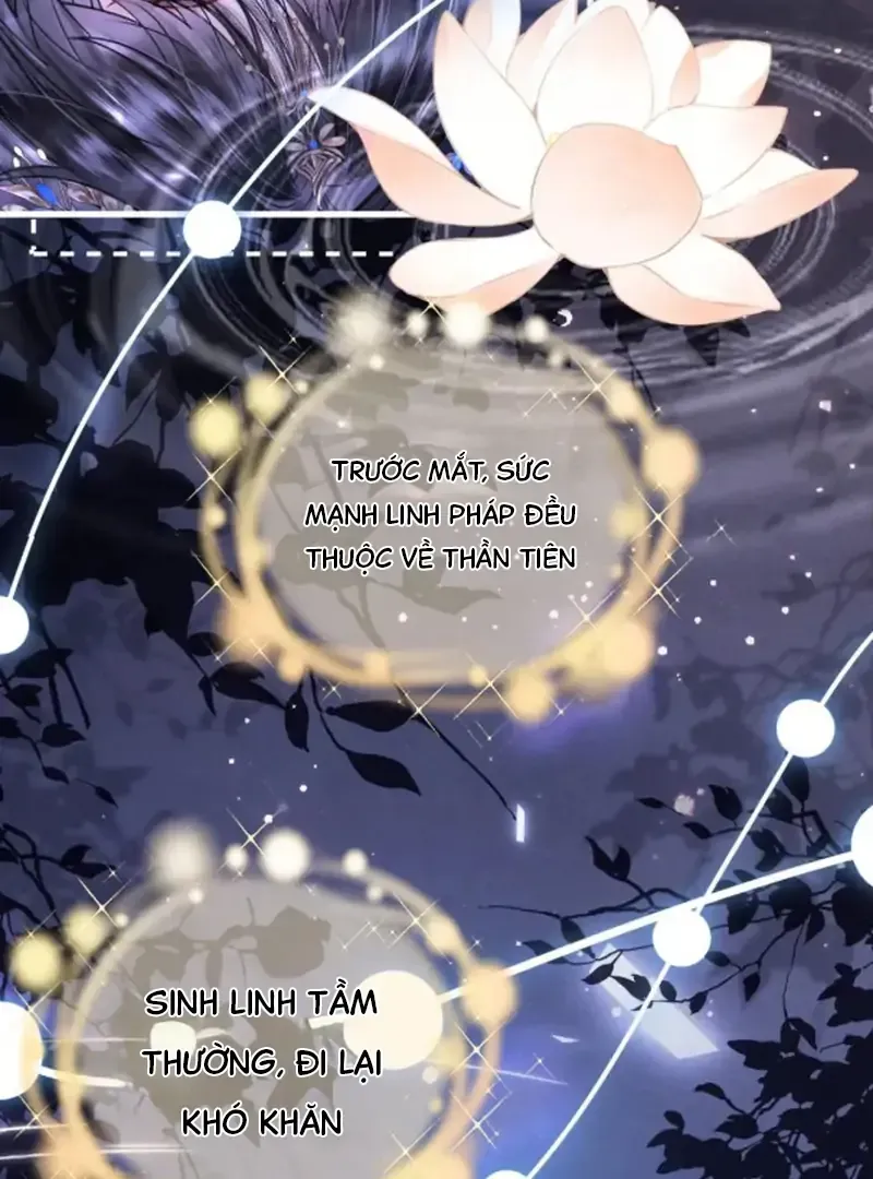 Đến Đông Hải Tìm Mỹ Nhân Chapter 66 - 45