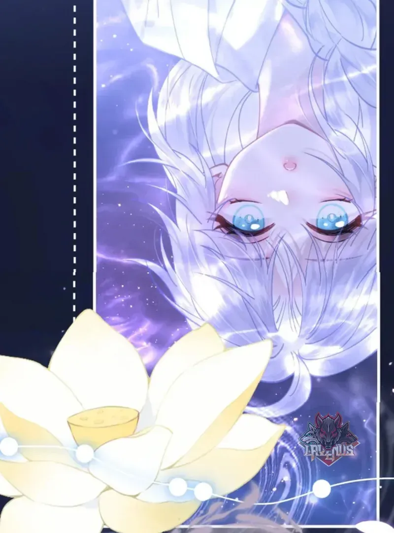 Đến Đông Hải Tìm Mỹ Nhân Chapter 66 - 50