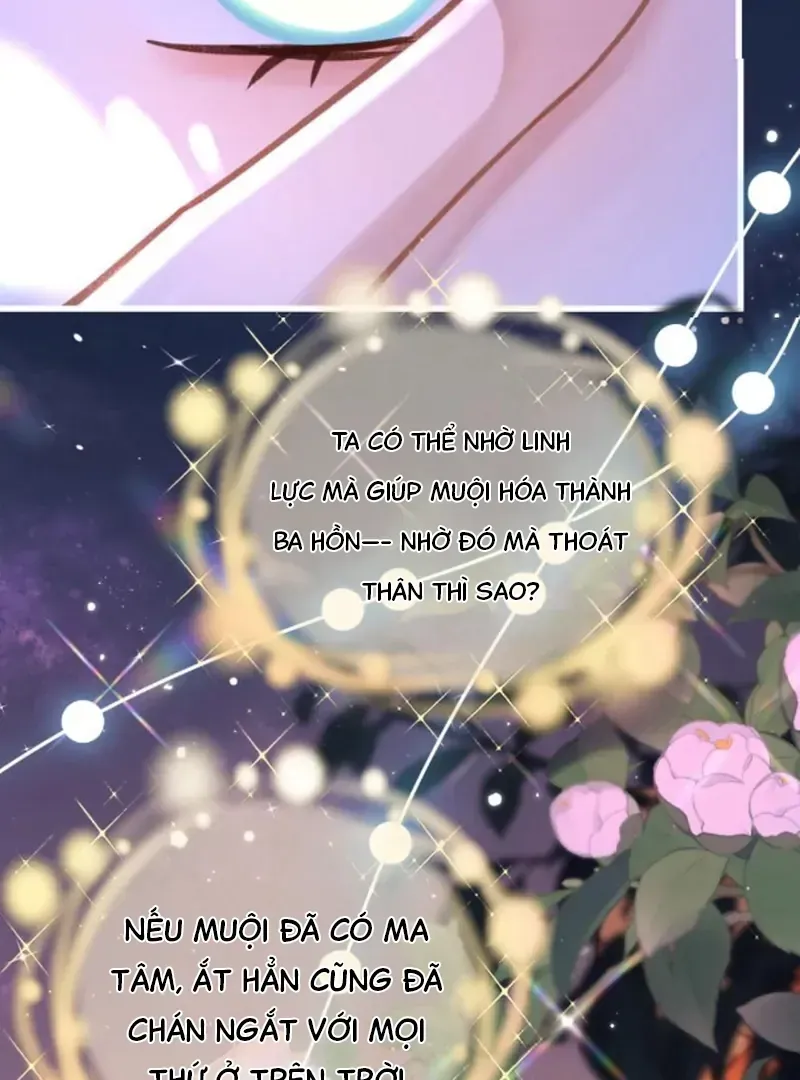 Đến Đông Hải Tìm Mỹ Nhân Chapter 66 - 60