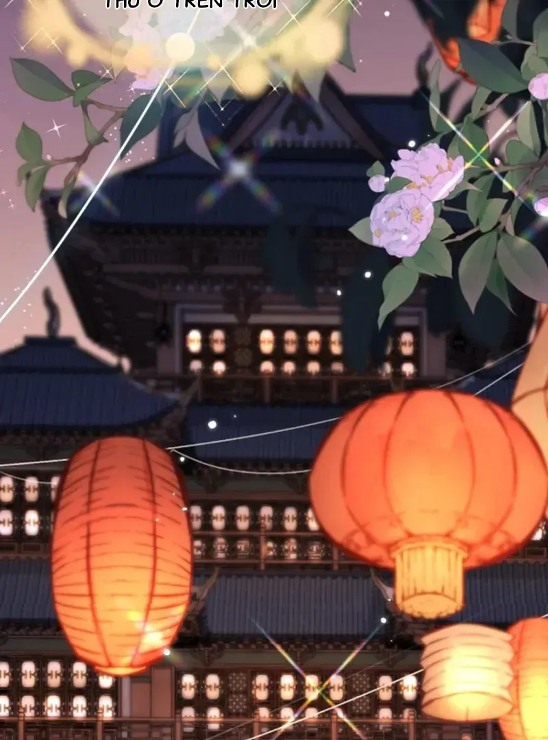 Đến Đông Hải Tìm Mỹ Nhân Chapter 66 - 61