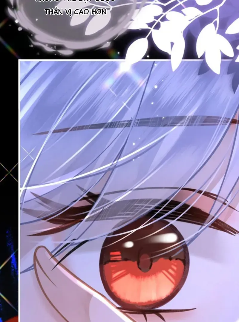 Đến Đông Hải Tìm Mỹ Nhân Chapter 66 - 66