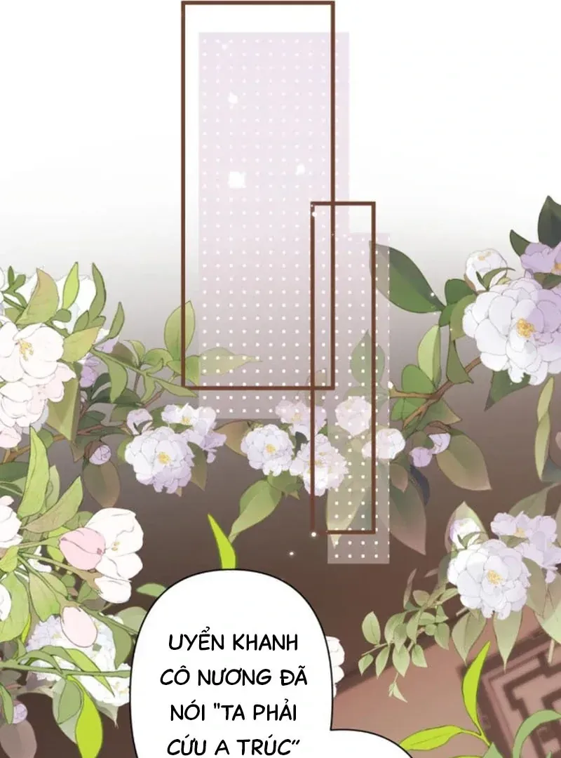 Đến Đông Hải Tìm Mỹ Nhân Chapter 67 - 26