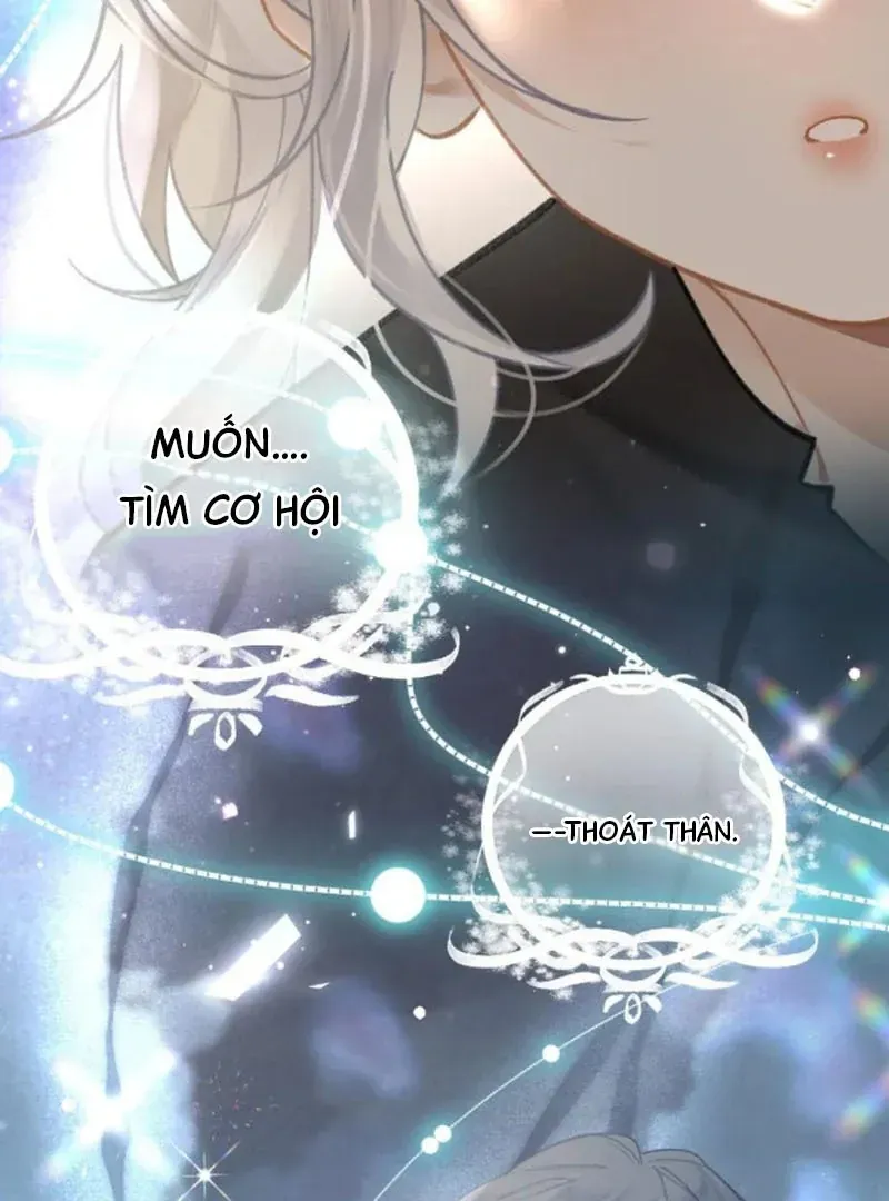 Đến Đông Hải Tìm Mỹ Nhân Chapter 67 - 42