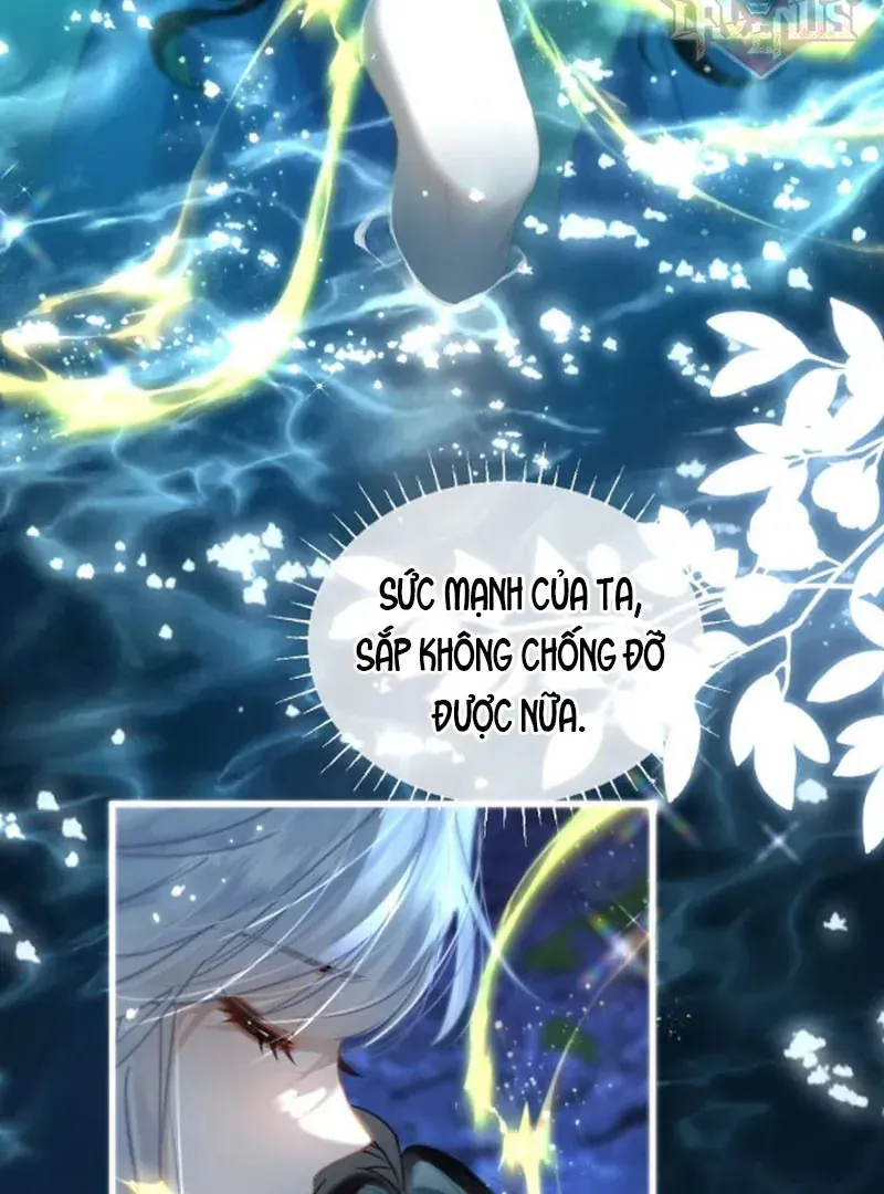 Đến Đông Hải Tìm Mỹ Nhân Chapter 67 - 51