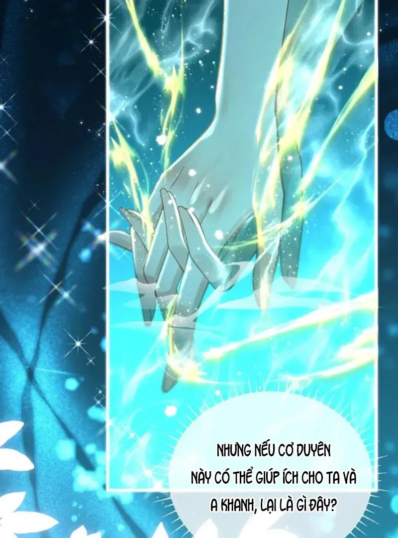 Đến Đông Hải Tìm Mỹ Nhân Chapter 67 - 53