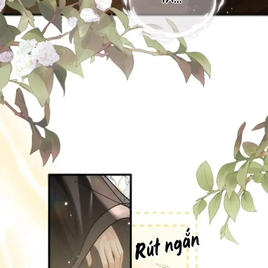 Đến Đông Hải Tìm Mỹ Nhân Chapter 69 - 16