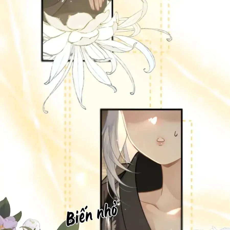 Đến Đông Hải Tìm Mỹ Nhân Chapter 69 - 17