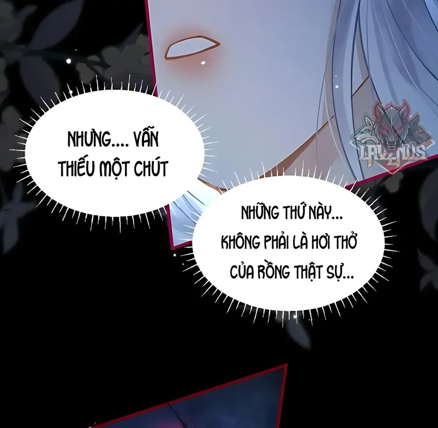 Đến Đông Hải Tìm Mỹ Nhân Chapter 70 - 4