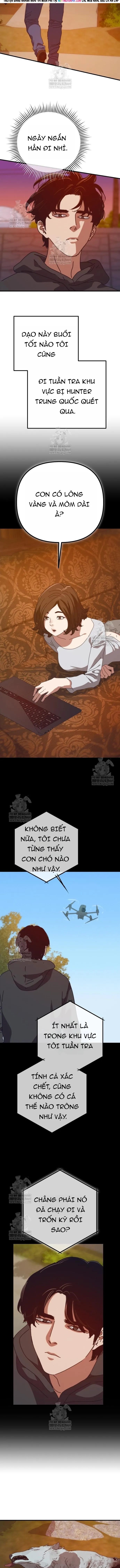 Ngôi Nhà Ẩn Ngày Tận Thế Chapter 81 - 12