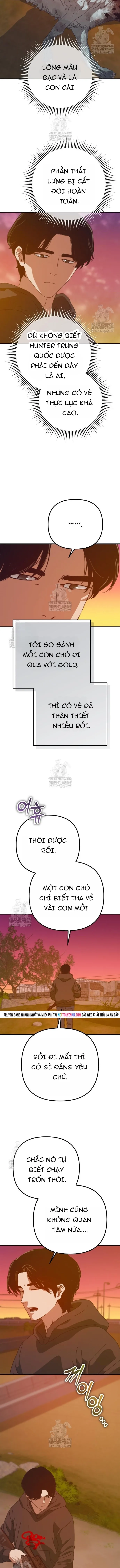 Ngôi Nhà Ẩn Ngày Tận Thế Chapter 81 - 13