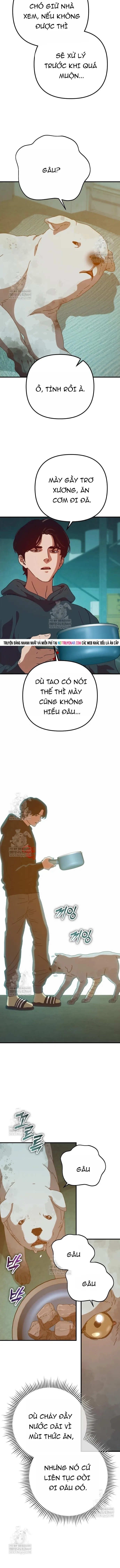 Ngôi Nhà Ẩn Ngày Tận Thế Chapter 81 - 15