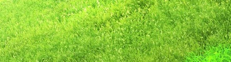 Trở Thành Thiên Tài Tốc Biến Của Học Viện Ma Pháp Chapter 92 - 126