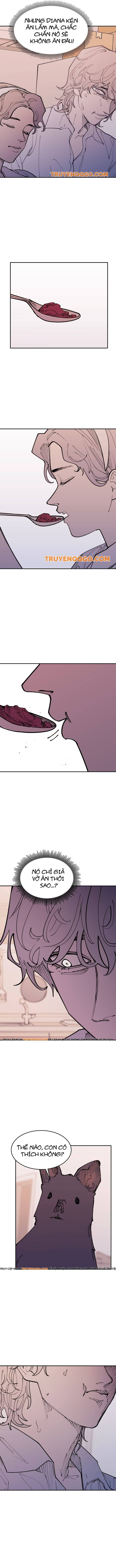 Vampire Family Chapter 48.5 - 6