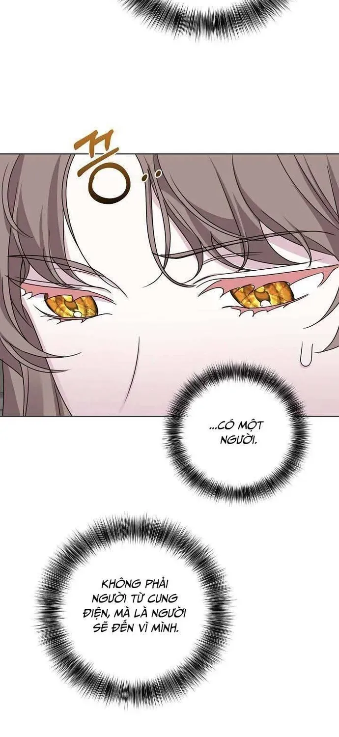 Phải Lòng Nhân Vật Phản Diện Từ Cái Nhìn Đầu Tiên Chapter 15.1 - 63