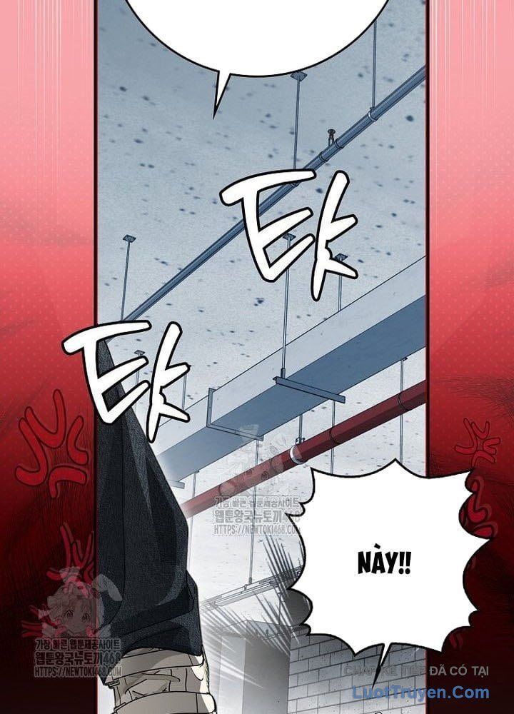 Tân Binh Triệu Đô Chapter 62 - 100