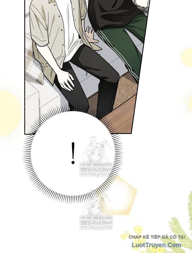 Tân Binh Triệu Đô Chapter 71 - 98