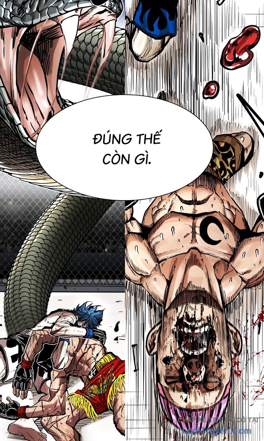 Shark - Cá Mập Chapter 381 - 82