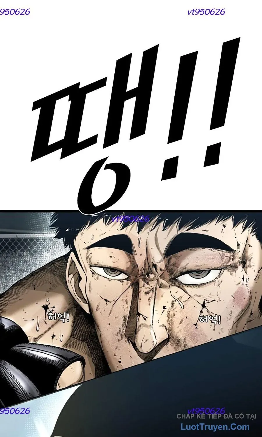 Shark - Cá Mập Chapter 394 - 9