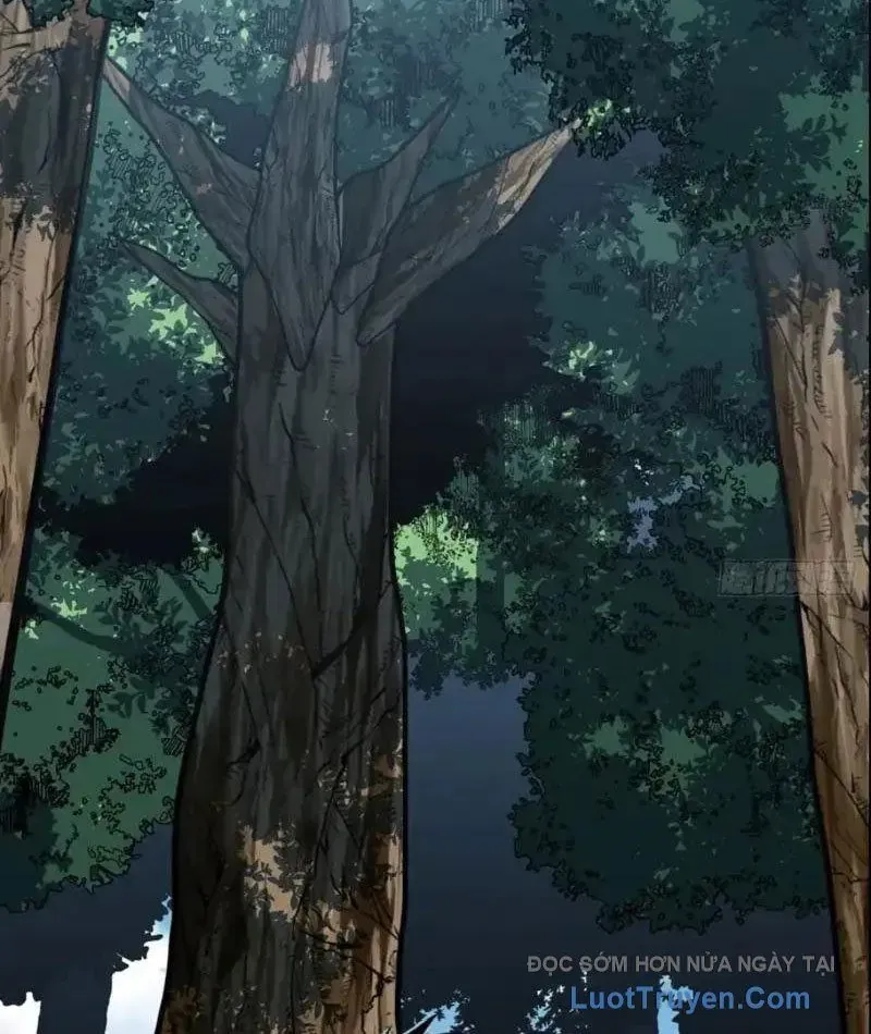 Mệnh Luân Chi Chủ! Khi Dị Biến Giáng Lâm Nhân Gian! Chapter 182 - 6