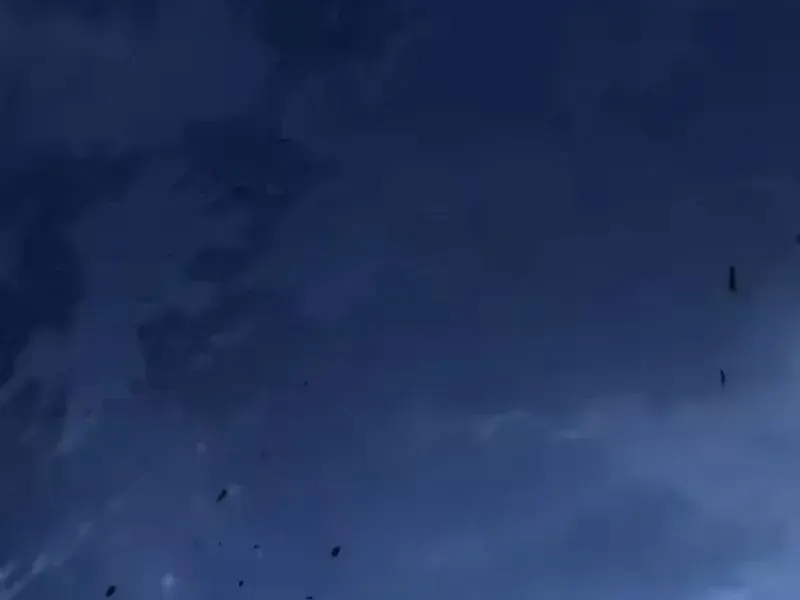 Mệnh Luân Chi Chủ! Khi Dị Biến Giáng Lâm Nhân Gian! Chapter 216 - 149