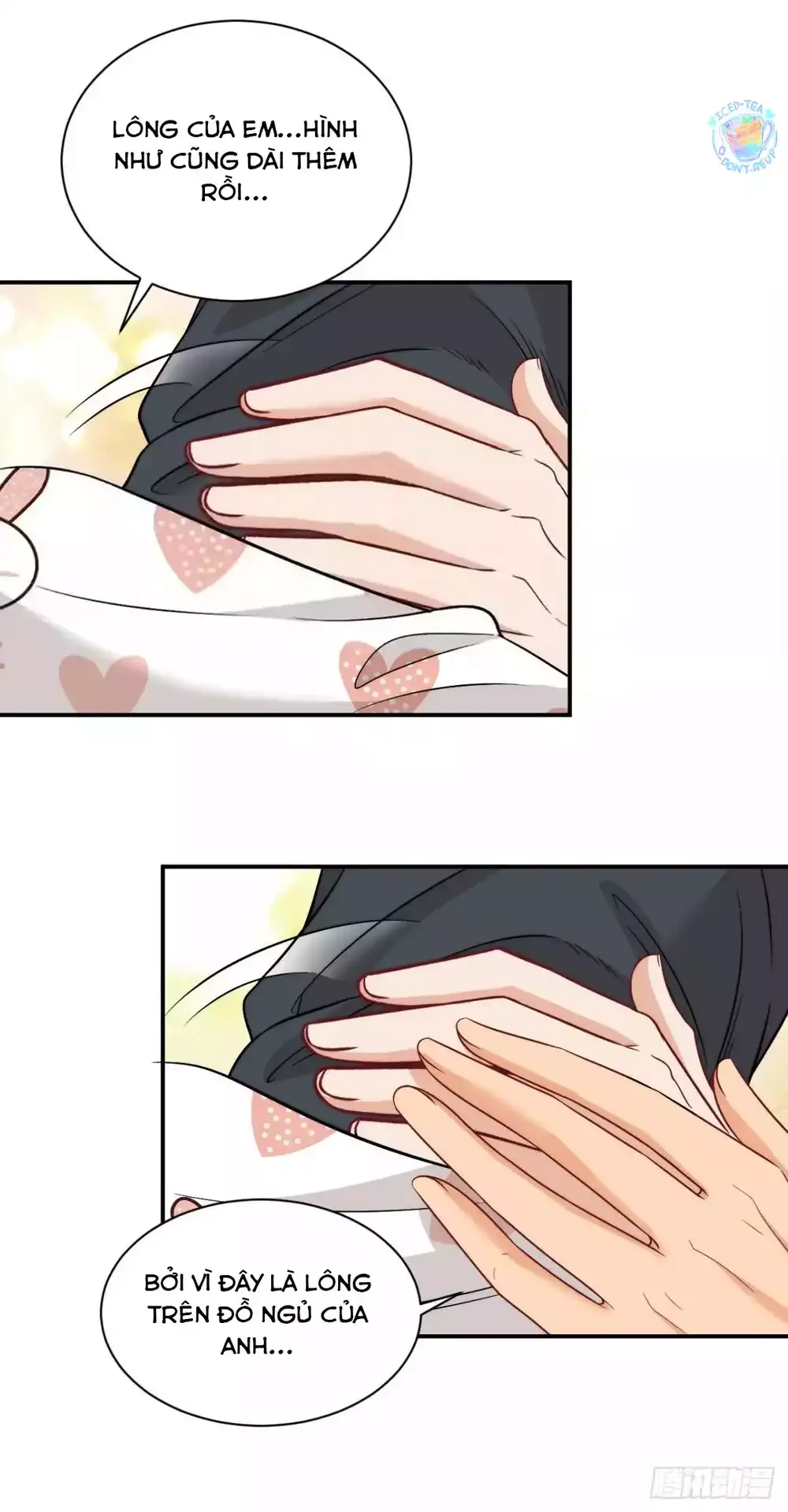 Ký Túc Xá Nam Phòng 303 Chapter 269 - 19