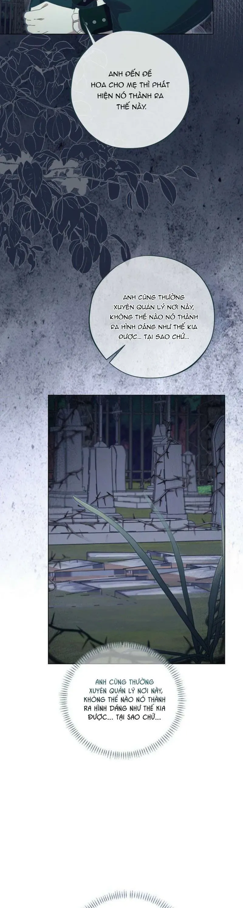 Công Nương Tái Sinh Chapter 56 - 23