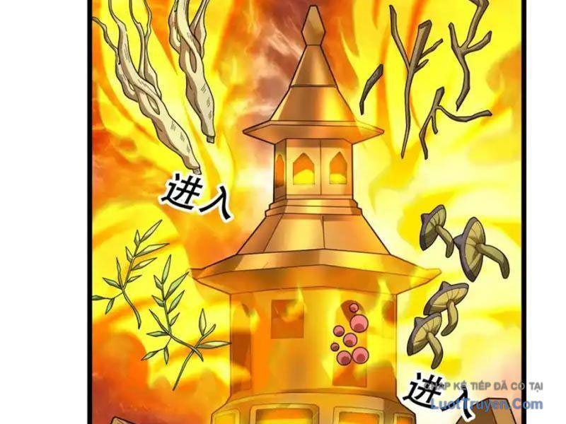 Tiên Làm Nô Thần Là Bộc, Đại Đế Làm Chó Giữ Nhà Chapter 79 - 30