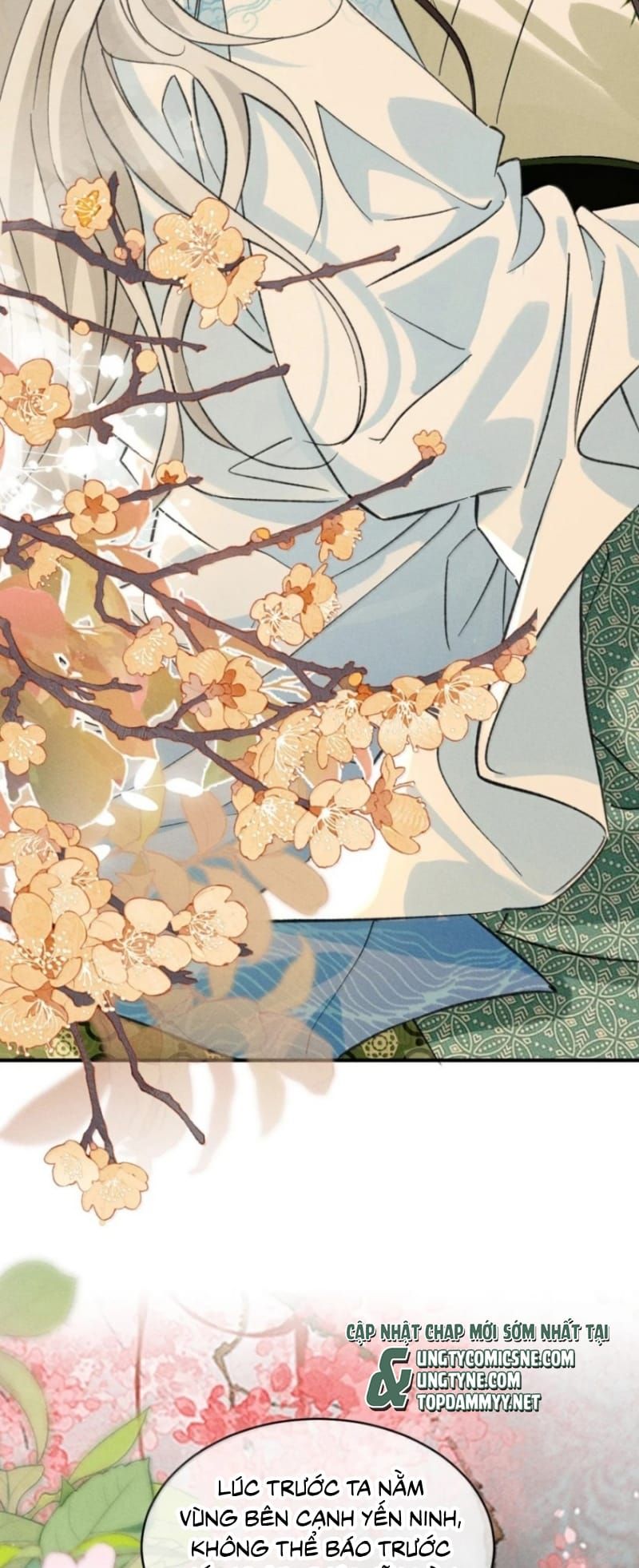 Hải Vương Sau Khi Hoàn Lương Sa Vào Tu La Tràng Chapter 63 - 39