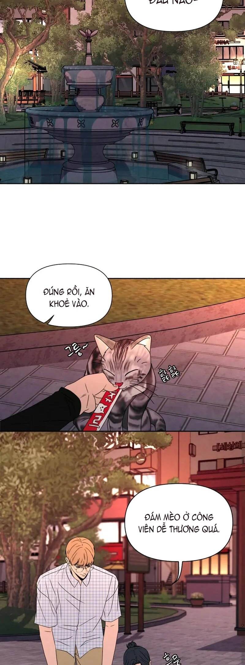 Tôi Muốn Ngừng Việc Giết Chóc Chapter 49 - 13