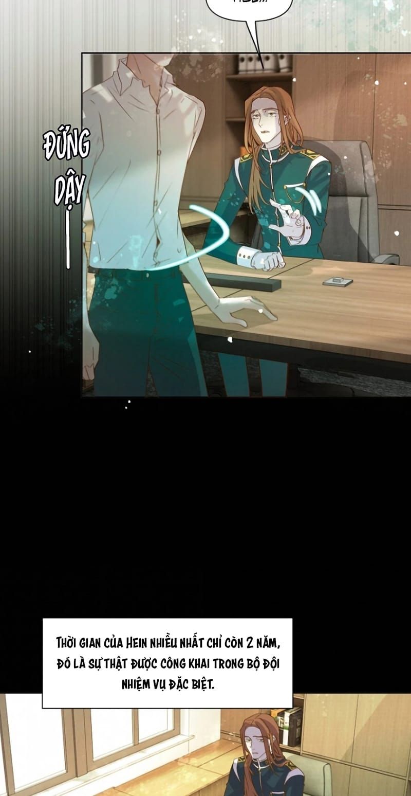 Tuyệt Xử Phùng Sinh Chapter 117 - 17