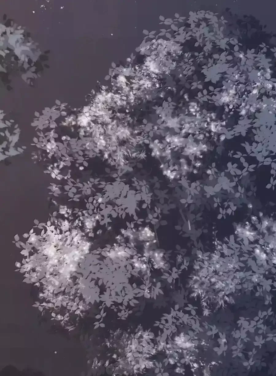 Loạn Thế Vi Vương Chapter 133 - 12