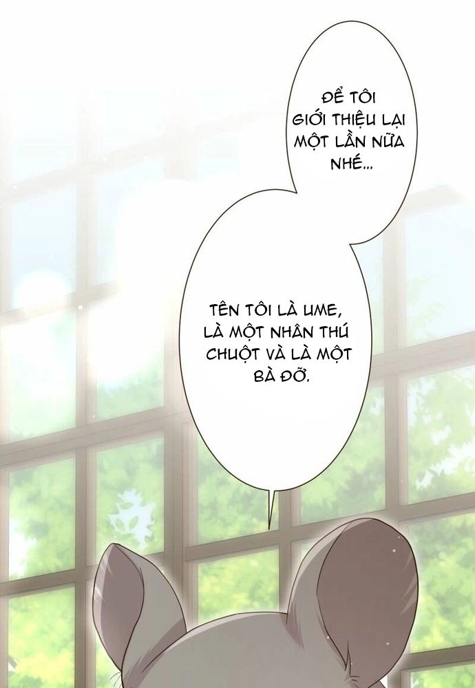 Cô Dâu Của Sói Trắng Chapter 102.1 - 50