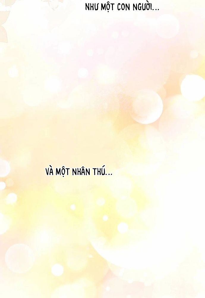 Cô Dâu Của Sói Trắng Chapter 102.1 - 84