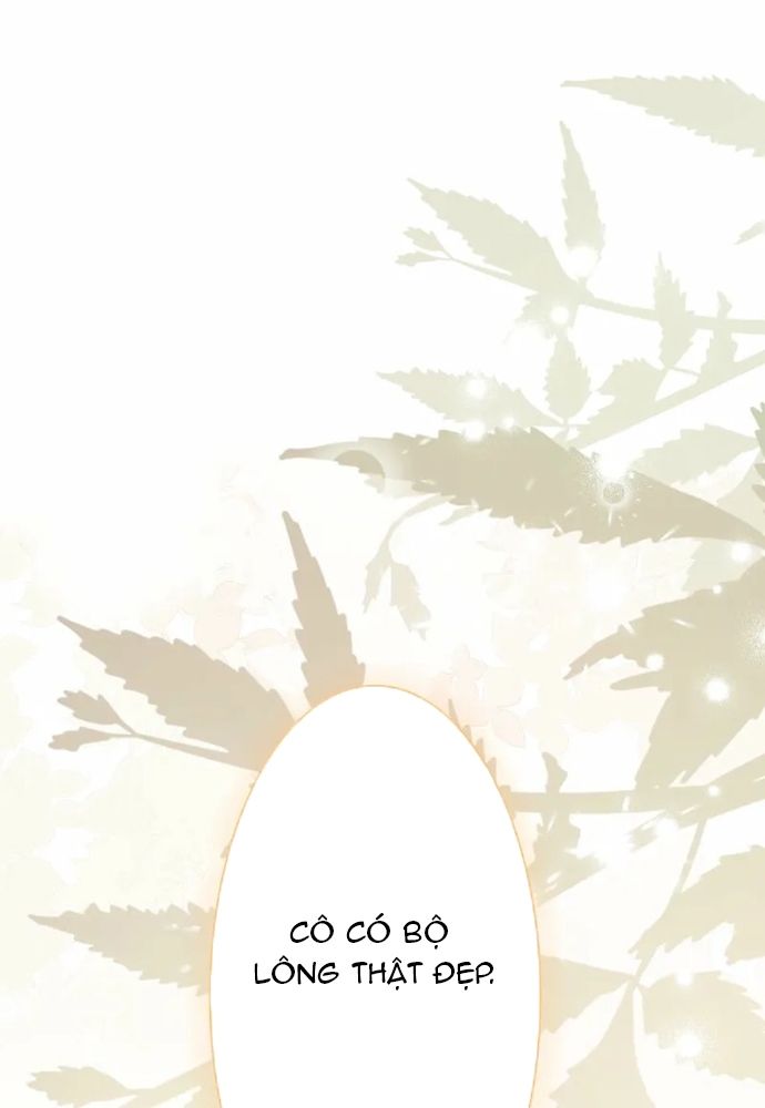 Cô Dâu Của Sói Trắng Chapter 105.1 - 2