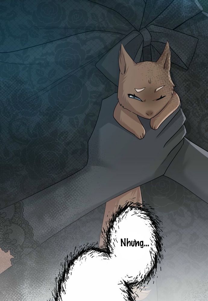 Cô Dâu Của Sói Trắng Chapter 110.1 - 88